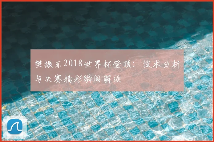 樊振东2018世界杯登顶：技术分析与决赛精彩瞬间解读