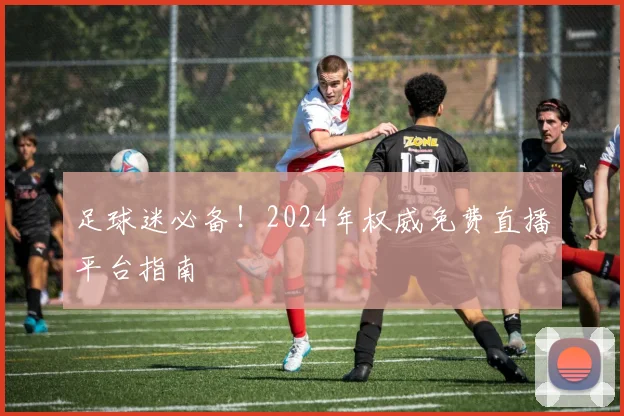 足球迷必备！2024年权威免费直播平台指南